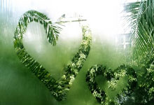 柏林赫塔在主场比赛中输给了对手