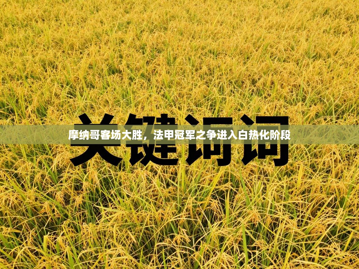 摩纳哥客场大胜，法甲冠军之争进入白热化阶段  第2张